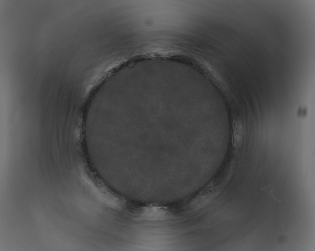 X0000110720451200906261459