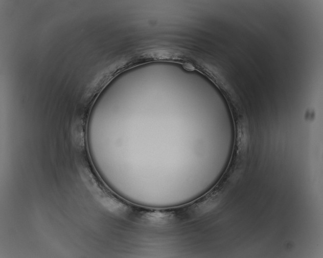 X0000110720453200906261459