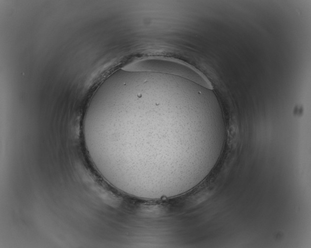 X0000110720454200906261459