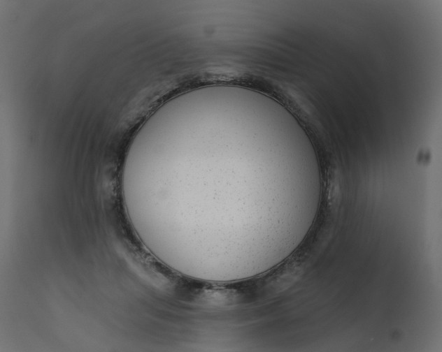 X0000110720455200906261459