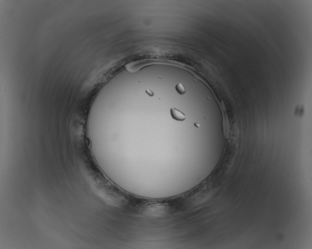 X0000110720456200906261459