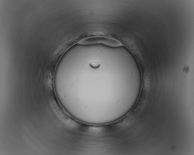 X0000110720457200906261459