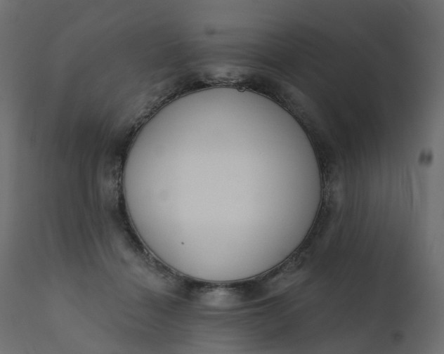 X0000110720460200906261459