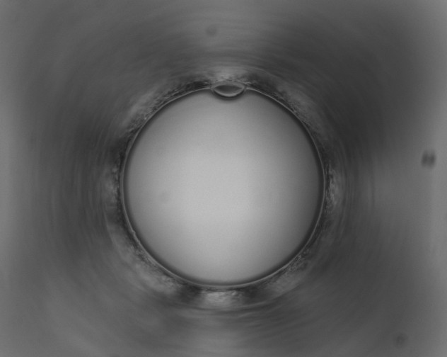 X0000110720461200906261500