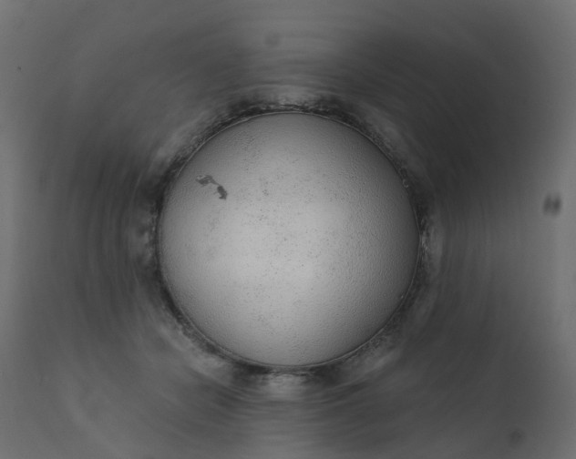 X0000110720462200906261500