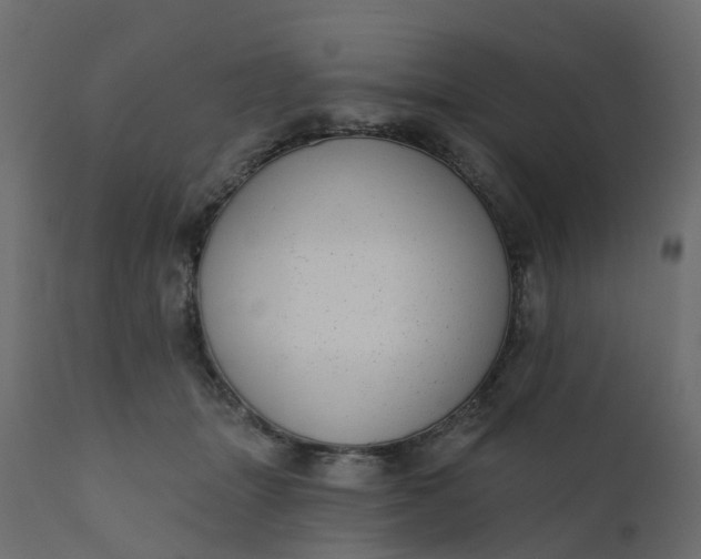 X0000110720463200906261500