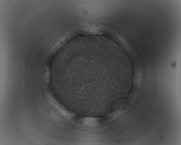 X0000110720465200906261500