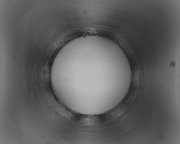 X0000110720466200906261500