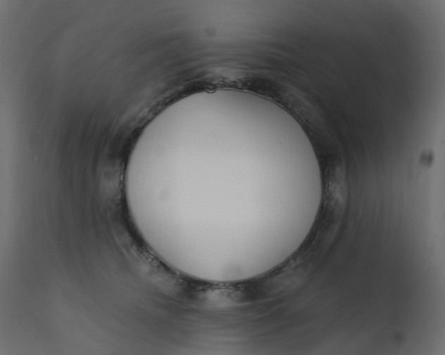 X0000110720468200906261500