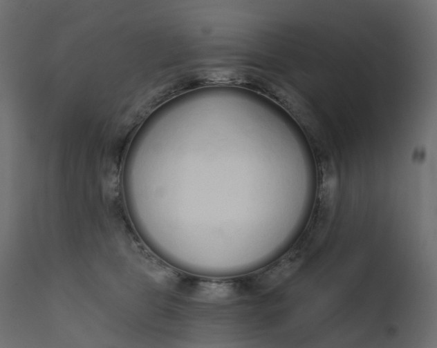 X0000110720469200906261500