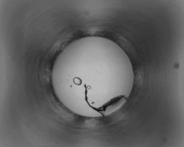 X0000110720470200906261500