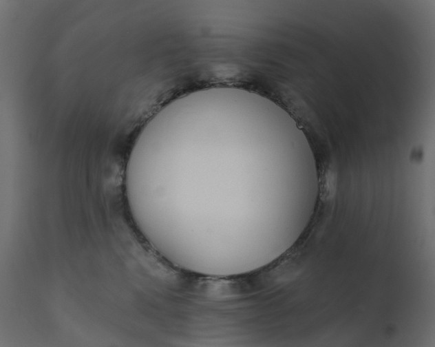 X0000110720472200906261500