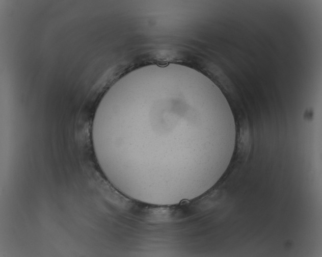 X0000110720473200906261500