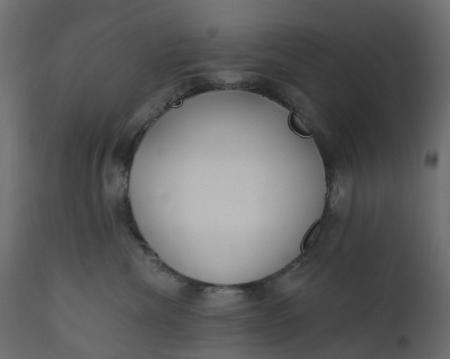 X0000110720476200906261500