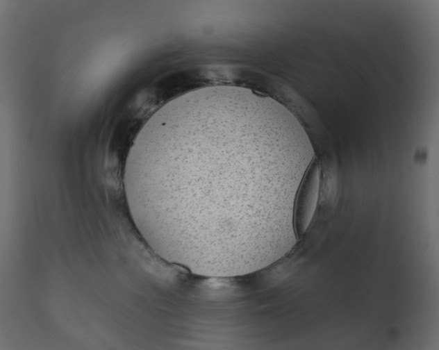 X0000110720477200906261500