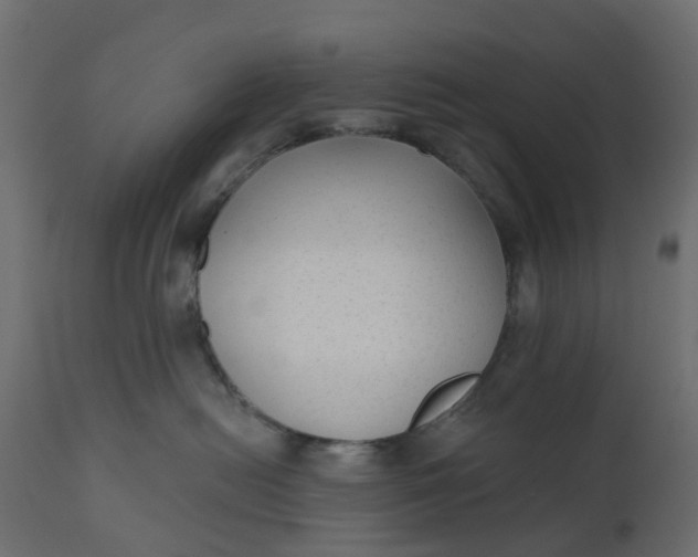 X0000110720478200906261500