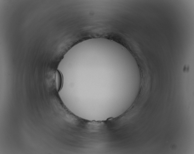 X0000110720480200906261500