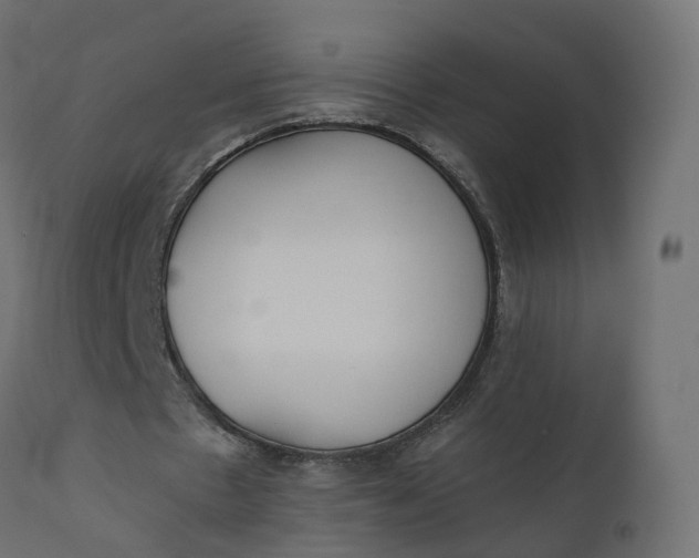 X0000110720481200906261459