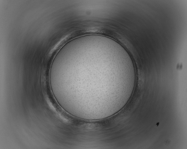 X0000110720482200906261459