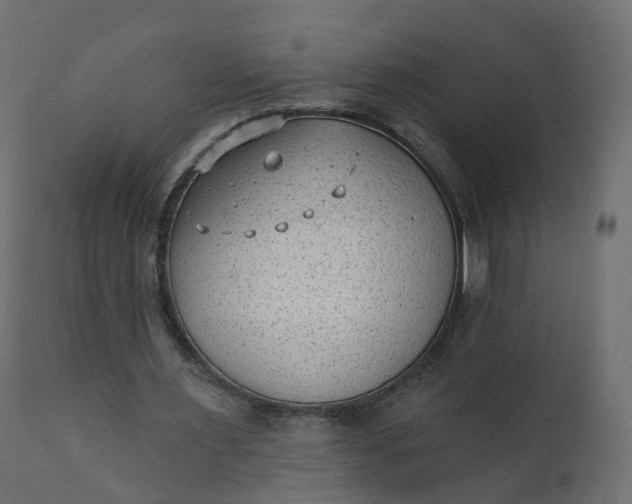 X0000110720483200906261459