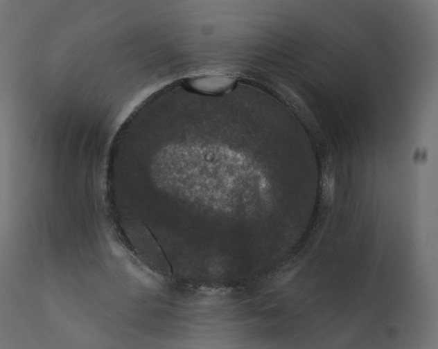 X0000110720484200906261459