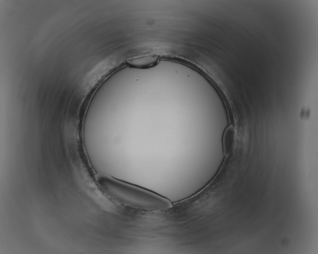 X0000110720485200906261459