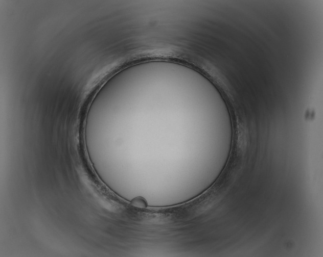 X0000110720486200906261459