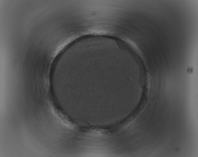 X0000110720488200906261459