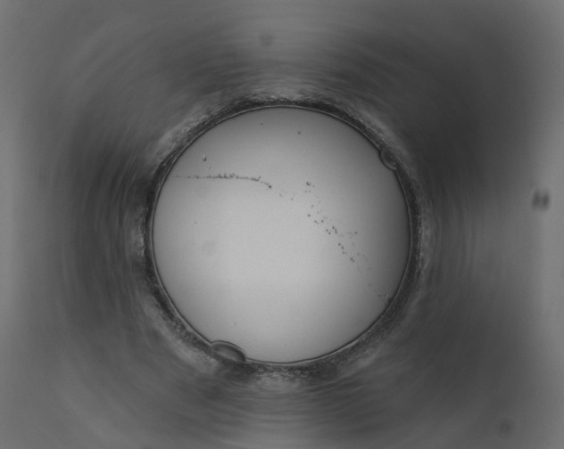 X0000110720489200906261459