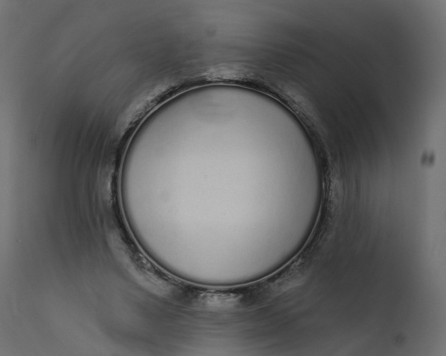 X0000110720491200906261459