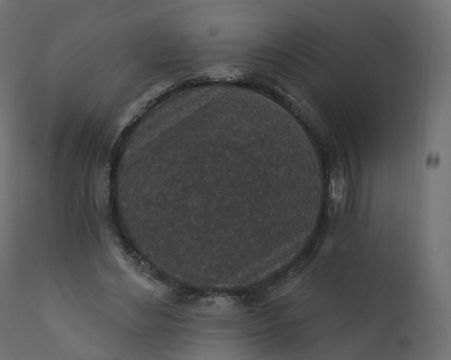 X0000110720492200906261459