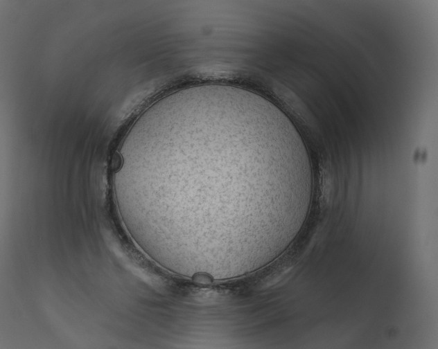 X0000110720494200906261459