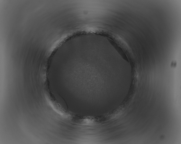 X0000110720496200906261459