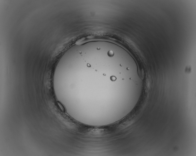 X0000110720497200906261459