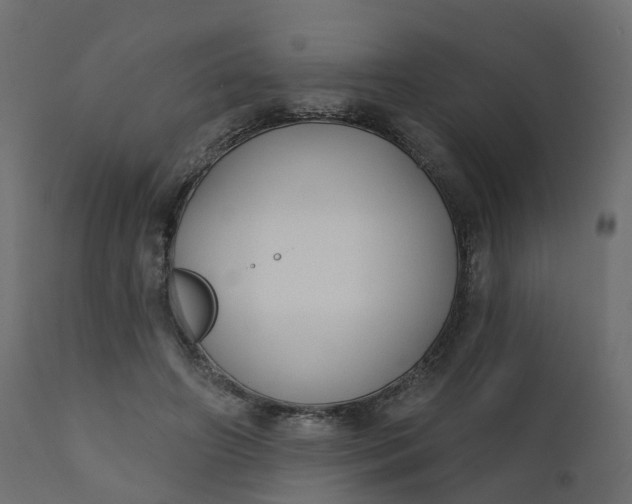 X0000110720498200906261459