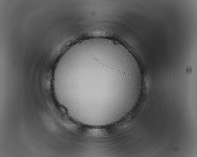 X0000110720499200906261459