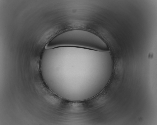 X0000110720501200906261459