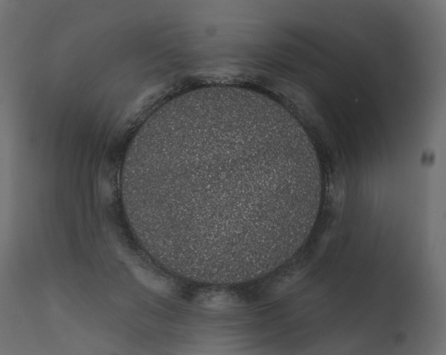 X0000110720503200906261459