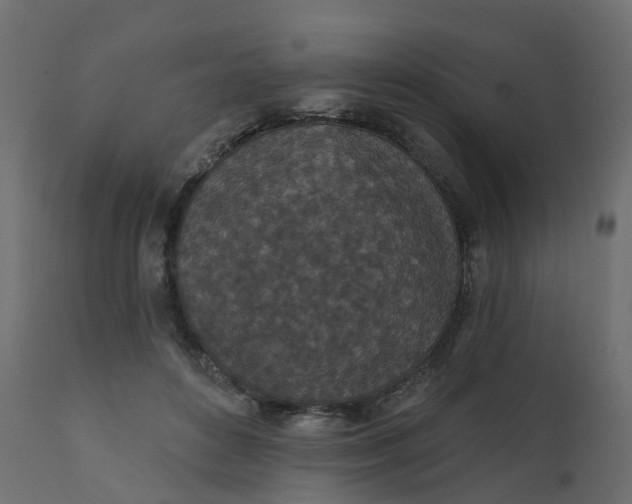 X0000110720504200906261459