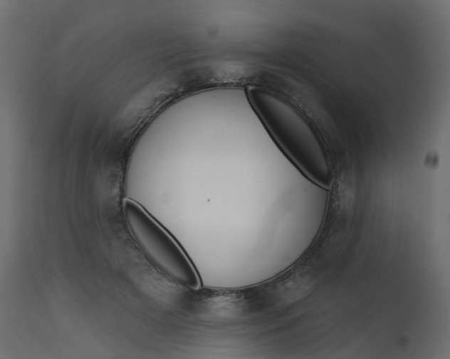 X0000110720505200906261459