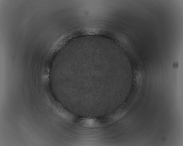 X0000110720507200906261459