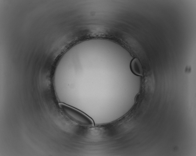 X0000110720508200906261459