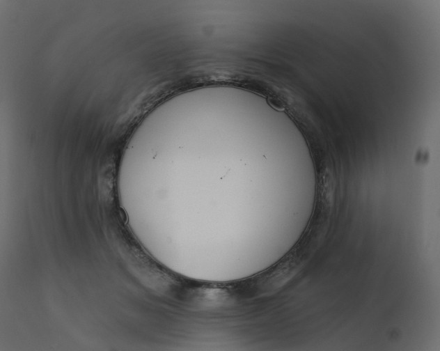 X0000110720509200906261459