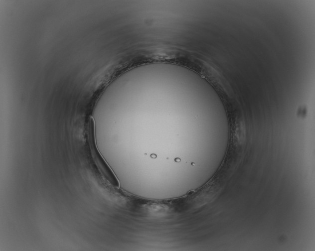 X0000110720512200906261459