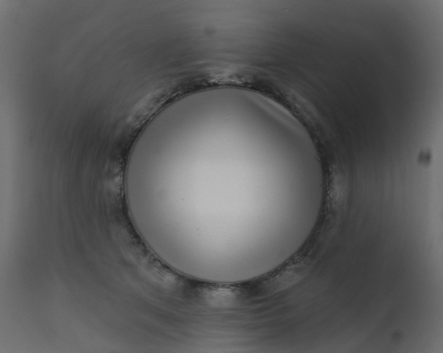 X0000110720513200906261459