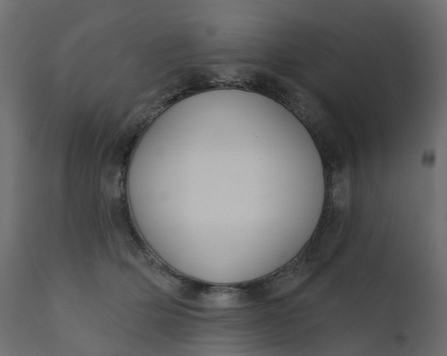 X0000110720514200906261459