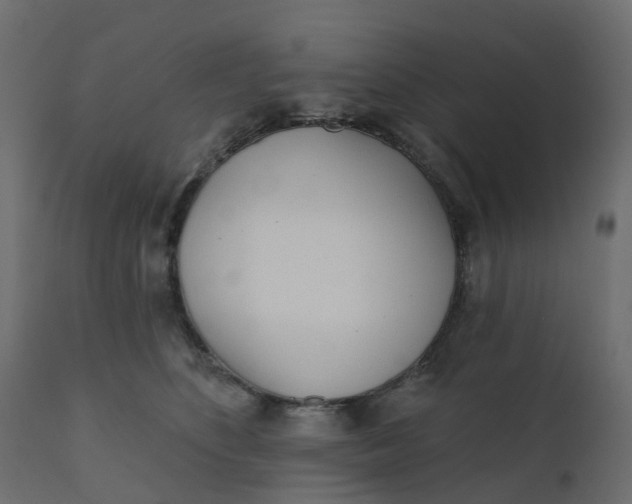 X0000110720516200906261459