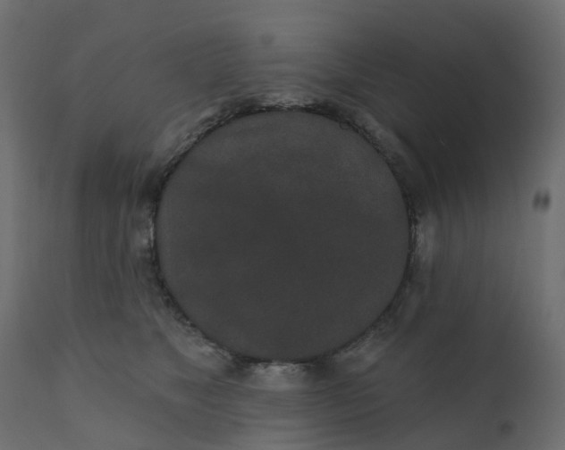 X0000110720517200906261459