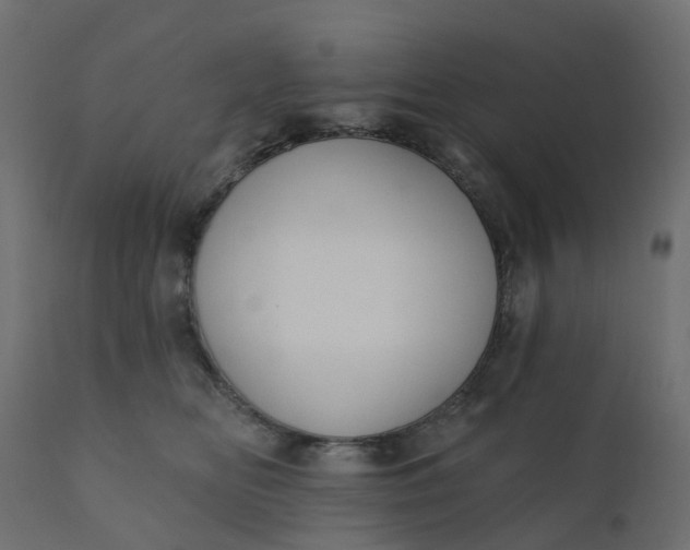 X0000110720518200906261459