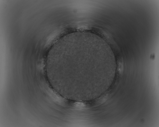 X0000110720519200906261459